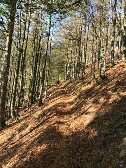 La Magie Entre Deux Lacs Villa Gérardmer Eksteriør bilde