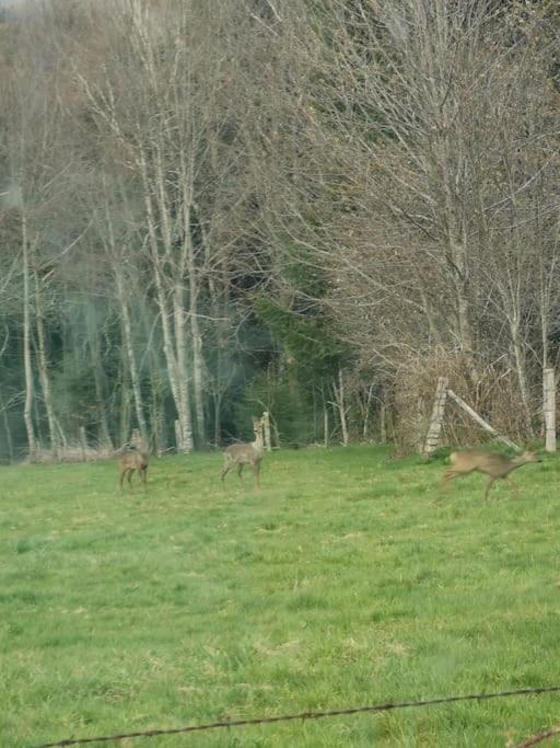 La Magie Entre Deux Lacs Villa Gérardmer Eksteriør bilde